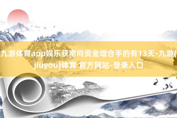 九游体育app娱乐获南向资金增合手的有13天-九游(jiuyou)体育 官方网站-登录入口