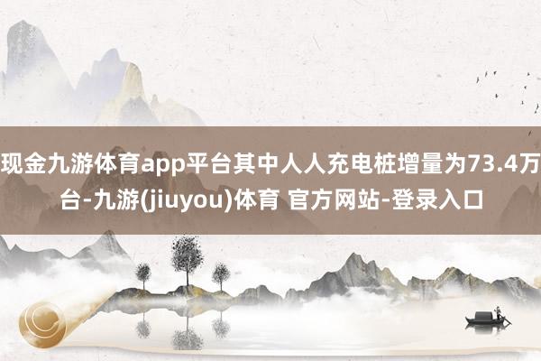 现金九游体育app平台其中人人充电桩增量为73.4万台-九游(jiuyou)体育 官方网站-登录入口